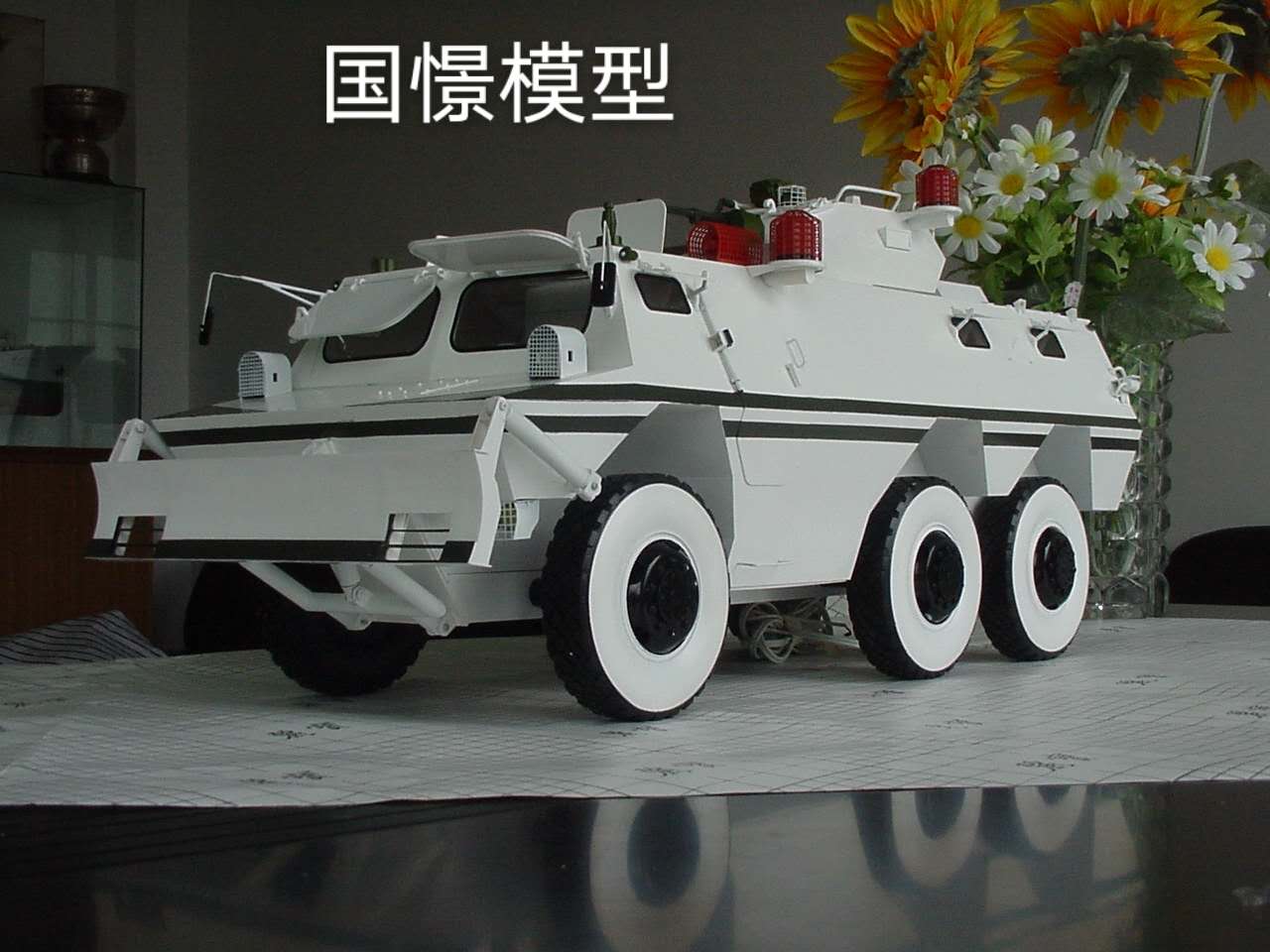 富县军事模型